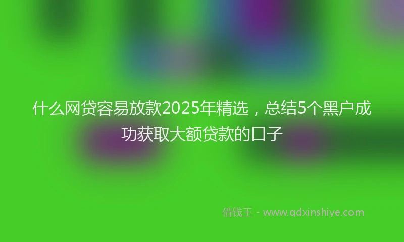 什么网贷容易放款2025年精选，总结5个黑户成功获取大额贷款的口子