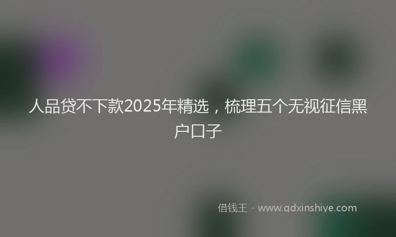 人品贷不下款2025年精选，梳理五个无视征信黑户口子