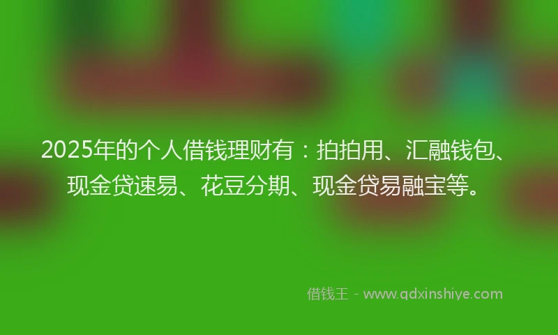 2025年的个人借钱理财有：拍拍用、汇融钱包、现金贷速易、花豆分期、现金贷易融宝等。