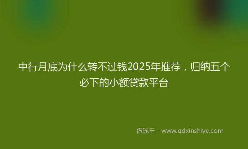 中行月底为什么转不过钱2025年推荐，归纳五个必下的小额贷款平台