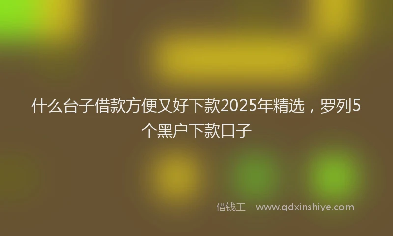 什么台子借款方便又好下款2025年精选，罗列5个黑户下款口子