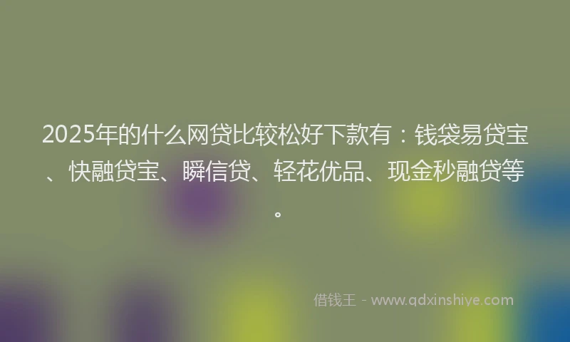 2025年的什么网贷比较松好下款有：钱袋易贷宝、快融贷宝、瞬信贷、轻花优品、现金秒融贷等。