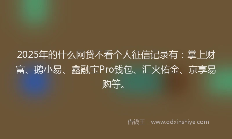 2025年的什么网贷不看个人征信记录有：掌上财富、鹅小易、鑫融宝Pro钱包、汇火佑金、京享易购等。