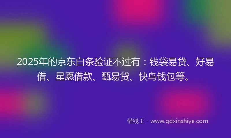 2025年的京东白条验证不过有：钱袋易贷、好易借、星愿借款、甄易贷、快鸟钱包等。