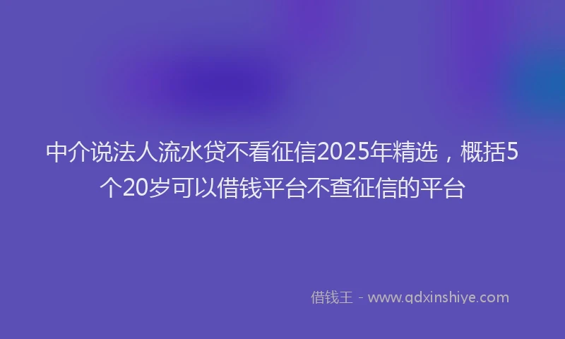 中介说法人流水贷不看征信2025年精选，概括5个20岁可以借钱平台不查征信的平台