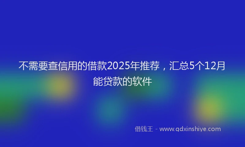 不需要查信用的借款2025年推荐，汇总5个12月能贷款的软件