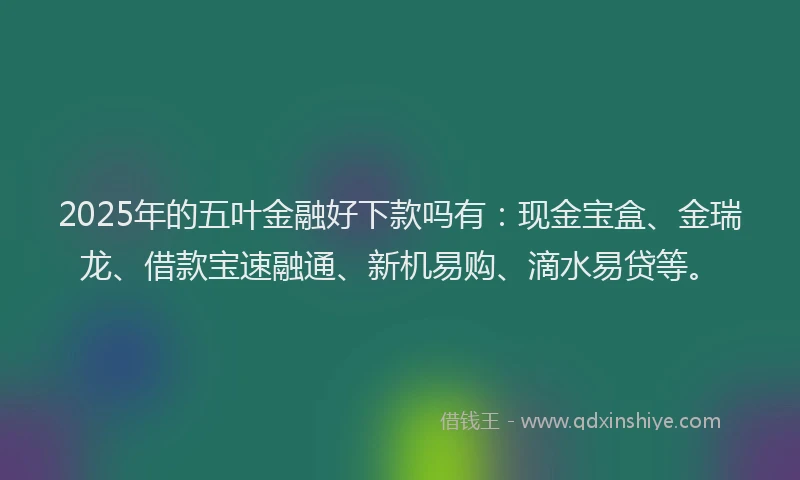 2025年的五叶金融好下款吗有：现金宝盒、金瑞龙、借款宝速融通、新机易购、滴水易贷等。
