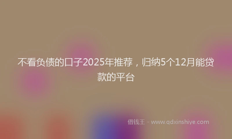 不看负债的口子2025年推荐，归纳5个12月能贷款的平台