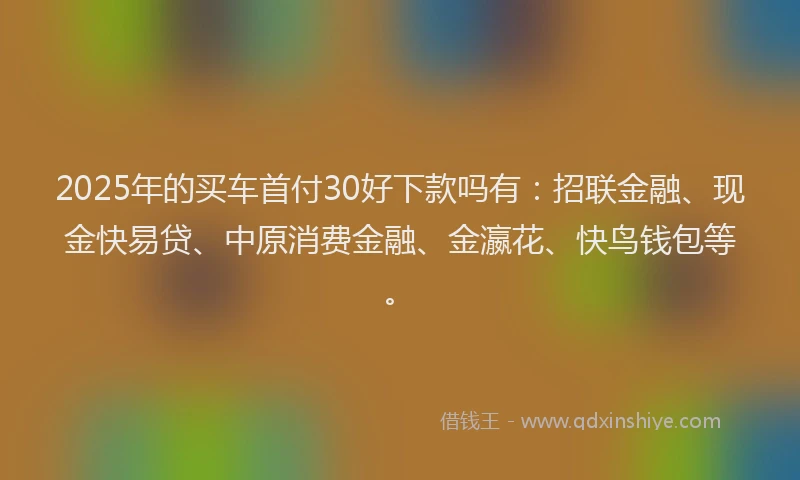 2025年的买车首付30好下款吗有：招联金融、现金快易贷、中原消费金融、金瀛花、快鸟钱包等。