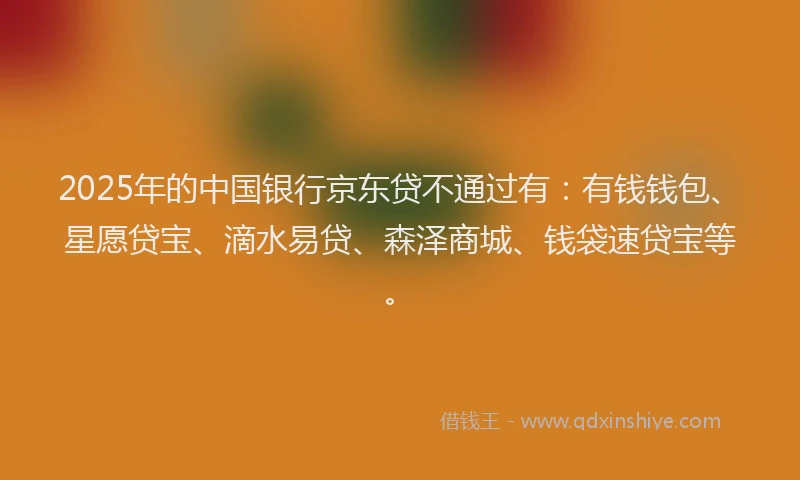 2025年的中国银行京东贷不通过有：有钱钱包、星愿贷宝、滴水易贷、森泽商城、钱袋速贷宝等。
