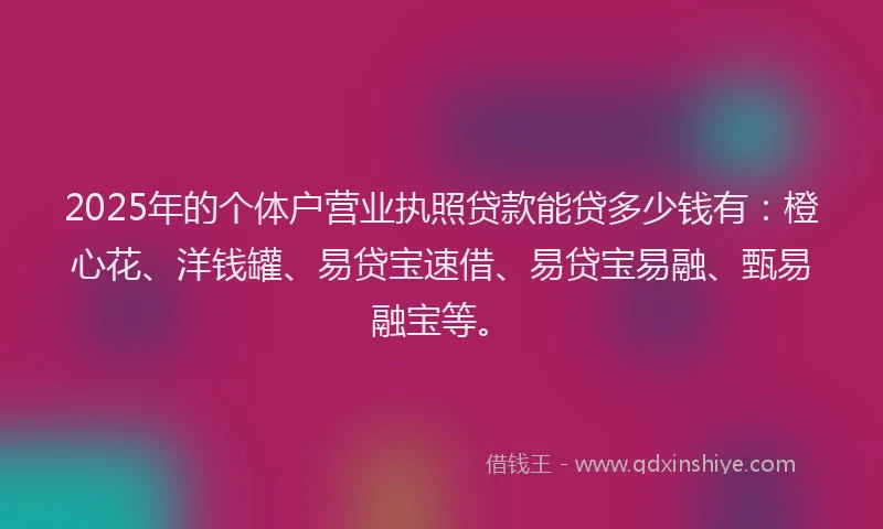 2025年的个体户营业执照贷款能贷多少钱有：橙心花、洋钱罐、易贷宝速借、易贷宝易融、甄易融宝等。