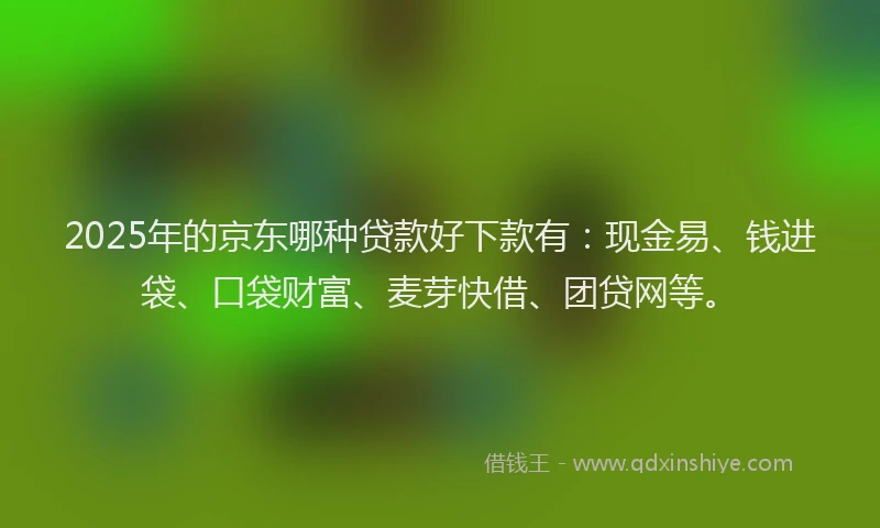 2025年的京东哪种贷款好下款有：现金易、钱进袋、口袋财富、麦芽快借、团贷网等。