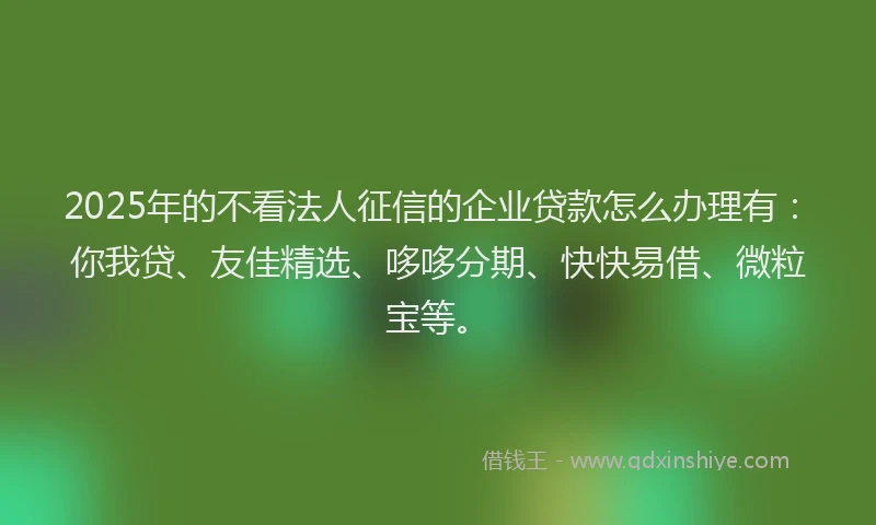 2025年的不看法人征信的企业贷款怎么办理有：你我贷、友佳精选、哆哆分期、快快易借、微粒宝等。