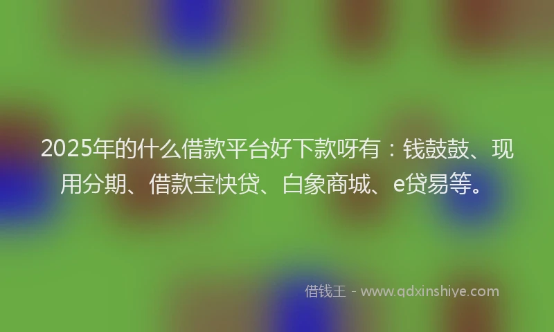 2025年的什么借款平台好下款呀有：钱鼓鼓、现用分期、借款宝快贷、白象商城、e贷易等。