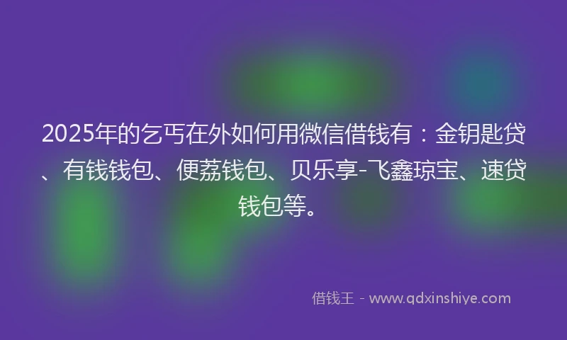 2025年的乞丐在外如何用微信借钱有：金钥匙贷、有钱钱包、便荔钱包、贝乐享-飞鑫琼宝、速贷钱包等。