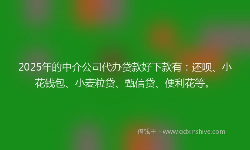 2025年的中介公司代办贷款好下款有：还呗、小花钱包、小麦粒贷、甄信贷、便利花等。