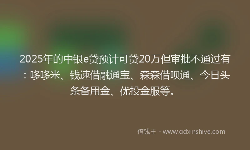 2025年的中银e贷预计可贷20万但审批不通过有：哆哆米、钱速借融通宝、森森借呗通、今日头条备用金、优投金服等。