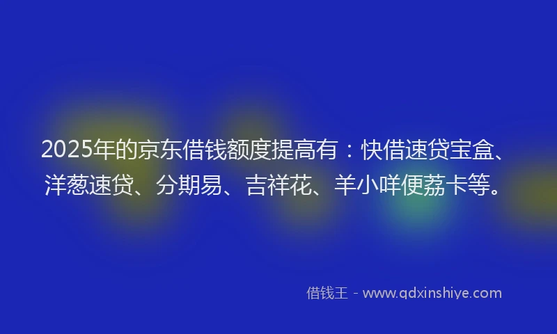 2025年的京东借钱额度提高有：快借速贷宝盒、洋葱速贷、分期易、吉祥花、羊小咩便荔卡等。