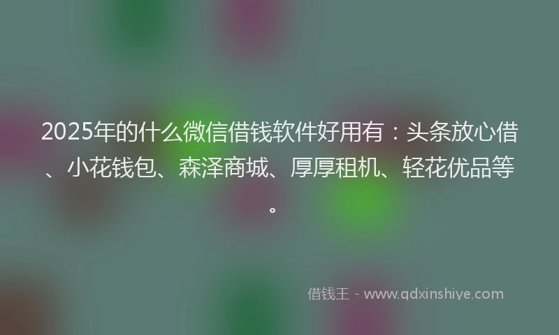 2025年的什么微信借钱软件好用有：头条放心借、小花钱包、森泽商城、厚厚租机、轻花优品等。