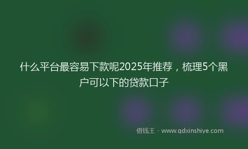 什么平台最容易下款呢2025年推荐，梳理5个黑户可以下的贷款口子