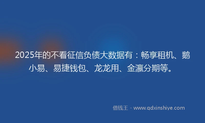 2025年的不看征信负债大数据有：畅享租机、鹅小易、易捷钱包、龙龙用、金瀛分期等。