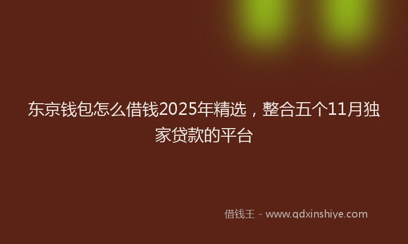 东京钱包怎么借钱2025年精选，整合五个11月独家贷款的平台