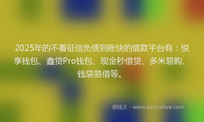 2025年的不看征信负债到账快的借款平台有：悦享钱包、鑫贷Pro钱包、现金秒借贷、多米易购、钱袋易借等。