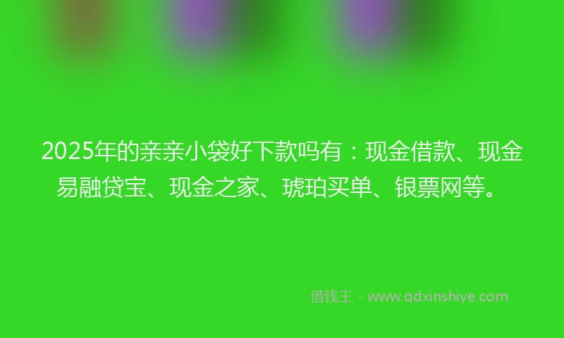 2025年的亲亲小袋好下款吗有：现金借款、现金易融贷宝、现金之家、琥珀买单、银票网等。