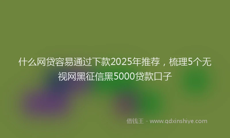 什么网贷容易通过下款2025年推荐，梳理5个无视网黑征信黑5000贷款口子