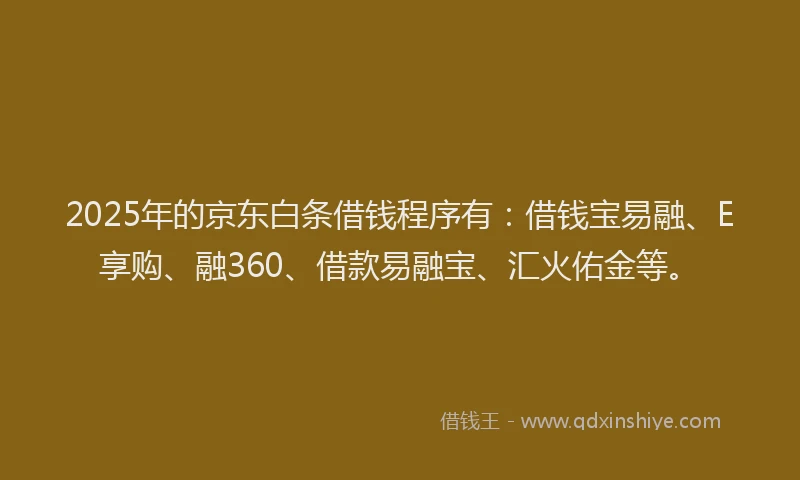 2025年的京东白条借钱程序有：借钱宝易融、E享购、融360、借款易融宝、汇火佑金等。