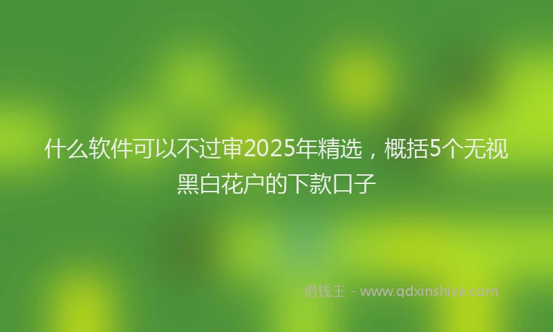 什么软件可以不过审2025年精选，概括5个无视黑白花户的下款口子