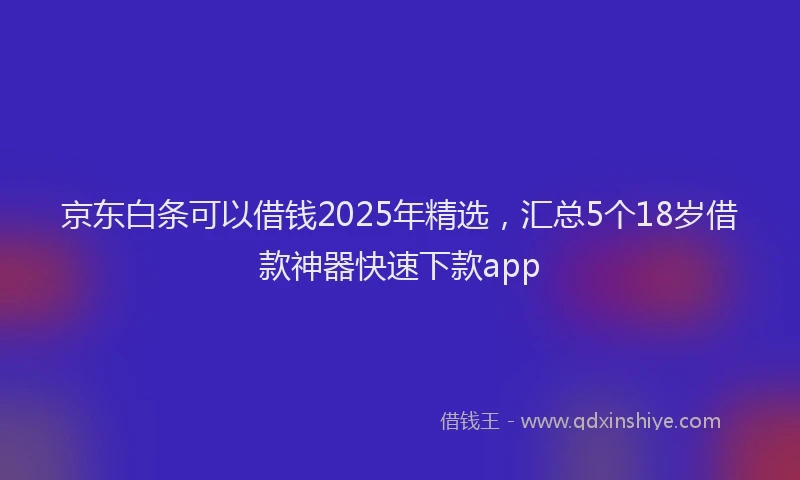 京东白条可以借钱2025年精选，汇总5个18岁借款神器快速下款app