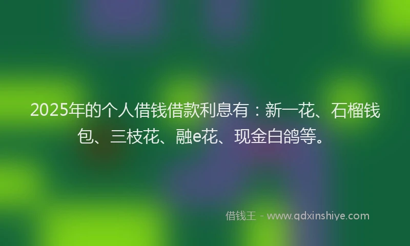 2025年的个人借钱借款利息有：新一花、石榴钱包、三枝花、融e花、现金白鸽等。