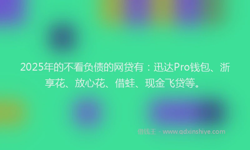 2025年的不看负债的网贷有：迅达Pro钱包、浙享花、放心花、借蛙、现金飞贷等。
