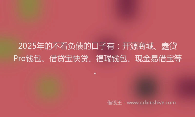 2025年的不看负债的口子有：开源商城、鑫贷Pro钱包、借贷宝快贷、福瑞钱包、现金易借宝等。