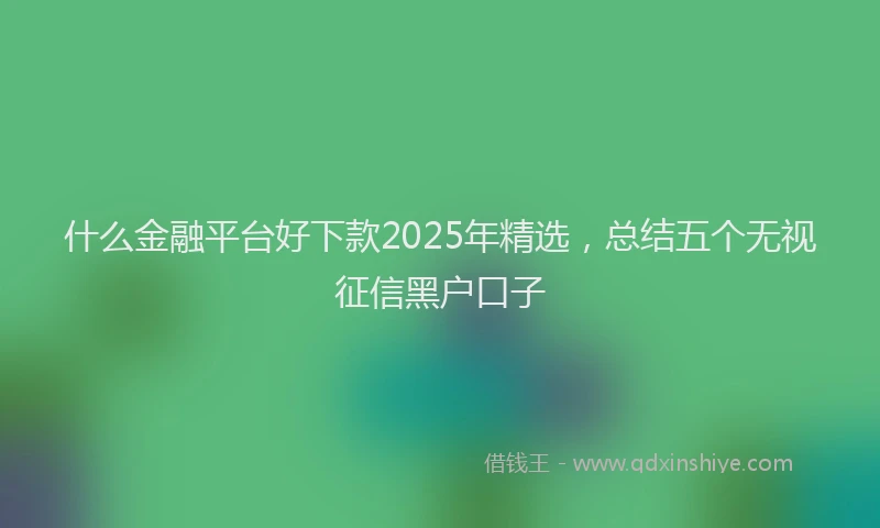 什么金融平台好下款2025年精选，总结五个无视征信黑户口子