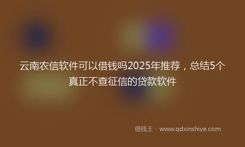 云南农信软件可以借钱吗2025年推荐，总结5个真正不查征信的贷款软件