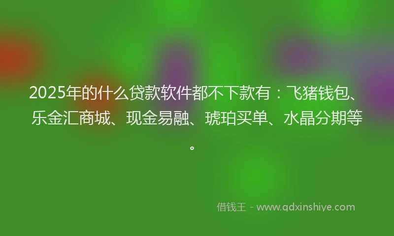 2025年的什么贷款软件都不下款有：飞猪钱包、乐金汇商城、现金易融、琥珀买单、水晶分期等。