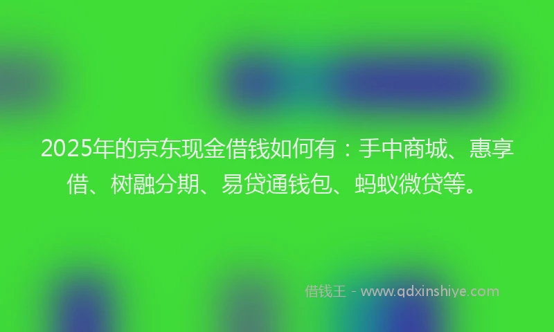 2025年的京东现金借钱如何有：手中商城、惠享借、树融分期、易贷通钱包、蚂蚁微贷等。