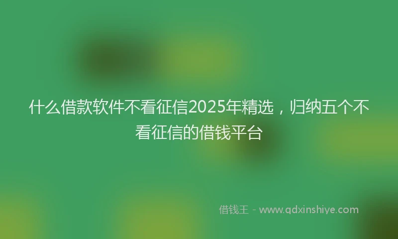 什么借款软件不看征信2025年精选，归纳五个不看征信的借钱平台