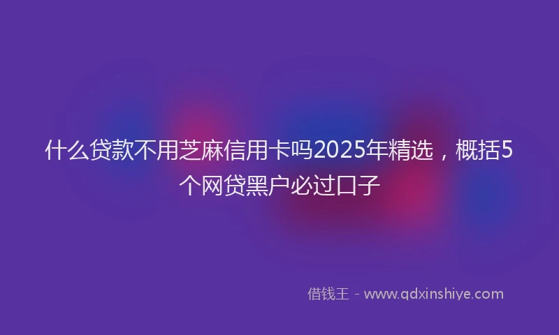 什么贷款不用芝麻信用卡吗2025年精选，概括5个网贷黑户必过口子