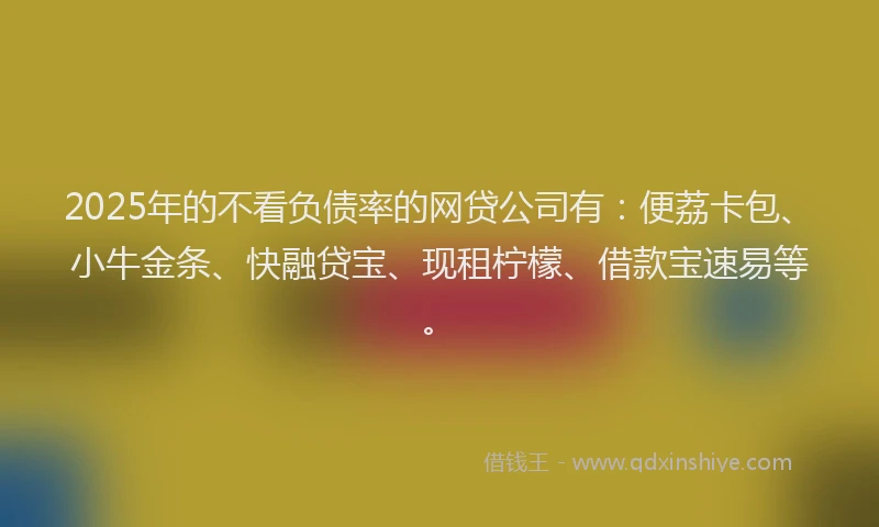 2025年的不看负债率的网贷公司有：便荔卡包、小牛金条、快融贷宝、现租柠檬、借款宝速易等。