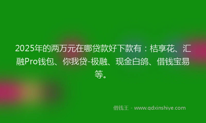 2025年的两万元在哪贷款好下款有：桔享花、汇融Pro钱包、你我贷-极融、现金白鸽、借钱宝易等。