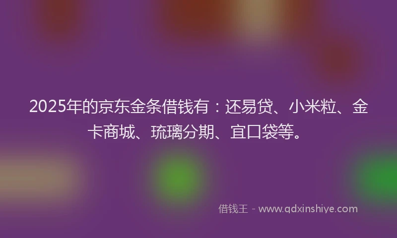 2025年的京东金条借钱有：还易贷、小米粒、金卡商城、琉璃分期、宜口袋等。