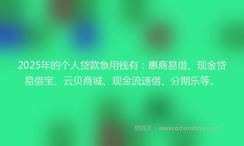 2025年的个人贷款急用钱有：惠商易借、现金贷易借宝、云贝商城、现金流速借、分期乐等。