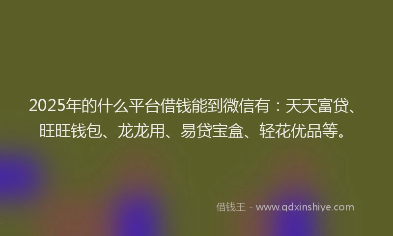 2025年的什么平台借钱能到微信有：天天富贷、旺旺钱包、龙龙用、易贷宝盒、轻花优品等。