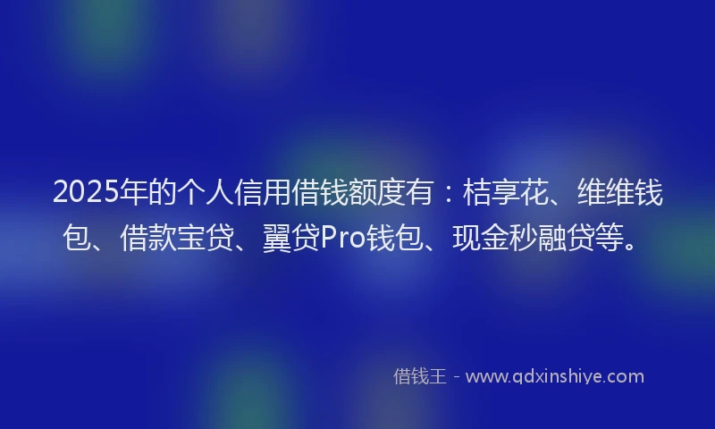 2025年的个人信用借钱额度有：桔享花、维维钱包、借款宝贷、翼贷Pro钱包、现金秒融贷等。
