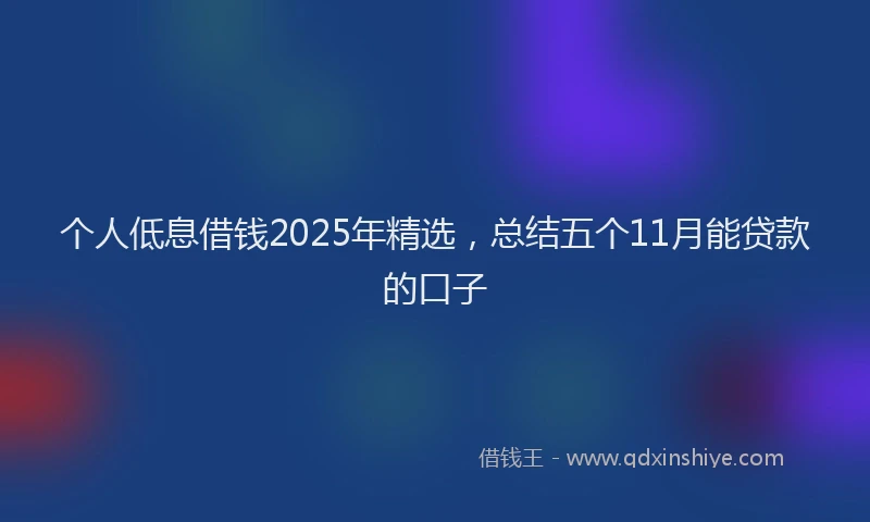 个人低息借钱2025年精选，总结五个11月能贷款的口子