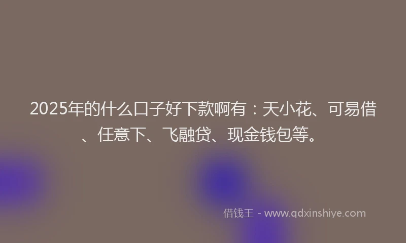 2025年的什么口子好下款啊有：天小花、可易借、任意下、飞融贷、现金钱包等。