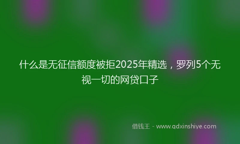 什么是无征信额度被拒2025年精选，罗列5个无视一切的网贷口子